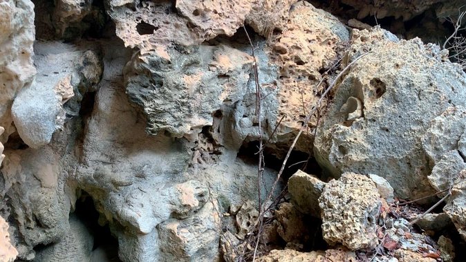 Small-Group Half-Day Active Caves Tour, Bonaire  - Kralendijk - Reviews and Recommendations