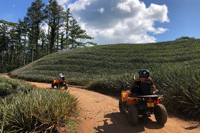 Small-Group Half-Day All-Terrain Vehicle Tour in Moorea - Common Questions