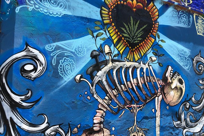 Small-Group Half-Day Bicycle Tour to Street Art Spots, Oaxaca  - Oaxaca City - Customer Reviews