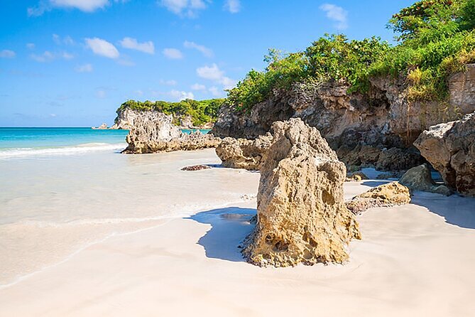 Small Group: Half-Day Cultural Tour of Punta Cana - Traveler Reviews