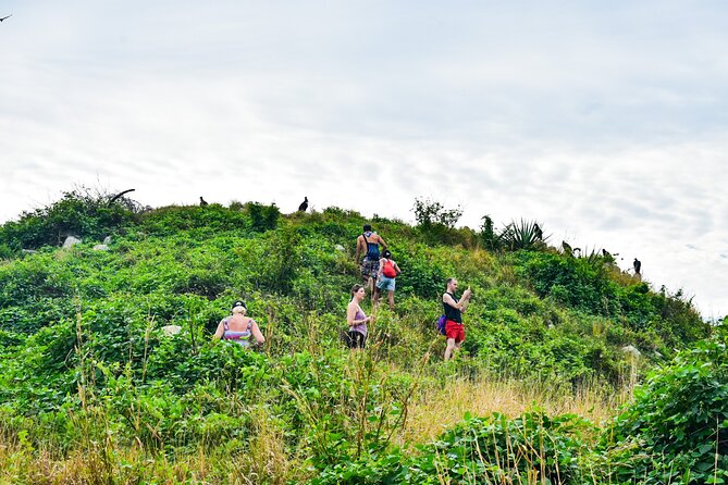 Small-Group Half-Day Deer Island Trip in Mazatlan - Viator Help Center