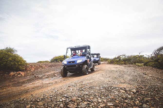 Small-Group Half-Day UTV Adventure Morning Tour in Aruba - Reviews