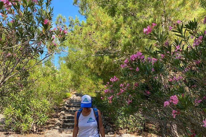 Small Group Hiking to the Valley of the Butterflies of Rhodes - Tips for a Successful Hiking Experience
