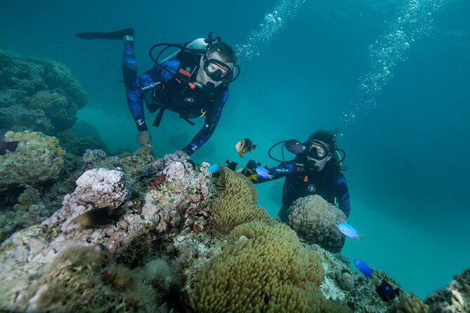 Small-Group Introductory Scuba Diving Experience in Bora Bora - Inclusions and Logistics