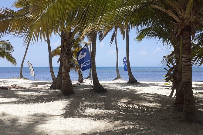 Small-Group Kitesurfing Lessons  - Dominican Republic - Convenient Meeting Point for Activity