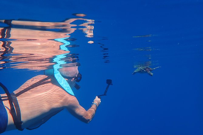 Small-Group Morning Snorkeling Tour to See Turtles  - Tahiti - Pictures of the Tour