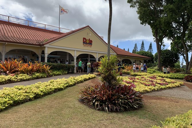 Small Group-Oahu Tour, Dole Plantation, Northshore, Sunset Beach - Pricing and Booking Details