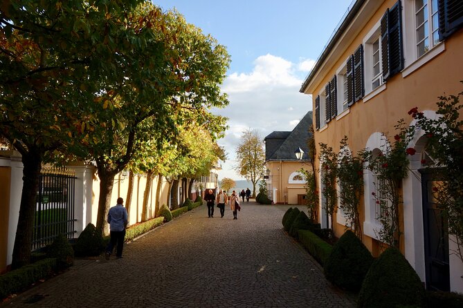 Small Group Rheingau Vineyards Tour With Castles and Abbeys - Vineyards and Wineries Visited