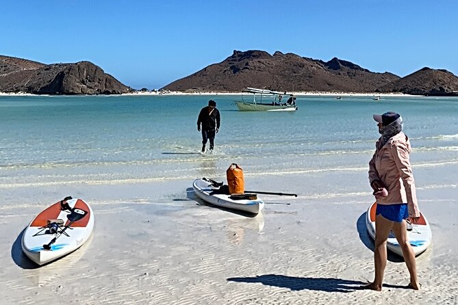 Small Group Sea Lions & Paddleboard Tour - Balandra Beach - Cancellation Policy