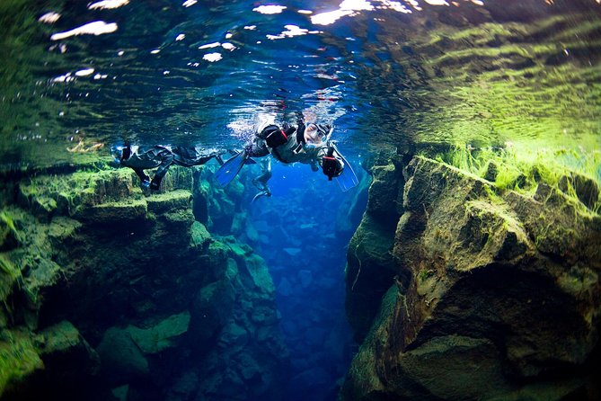 Small-Group Snorkeling in Silfra With Transfer & Free Photos Included - Exploring Underwater Flora and Fauna
