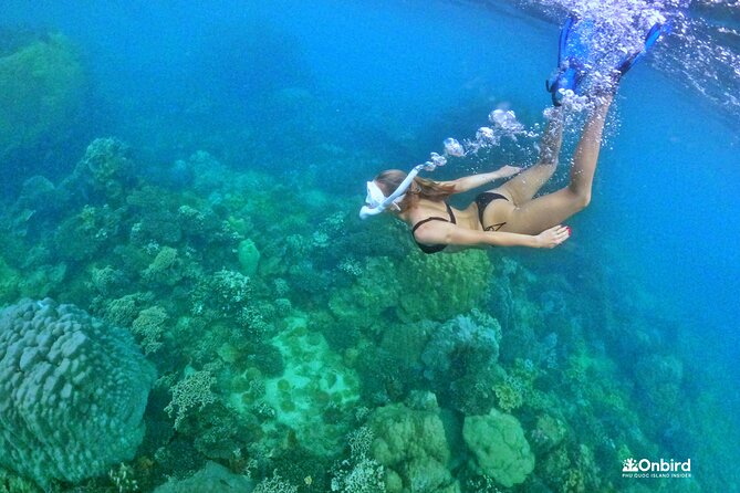 [Small-Group] SNORKELING & SUNSET MEAL at Private Beach-Max 9 PAX - Traveler Photos and Reviews