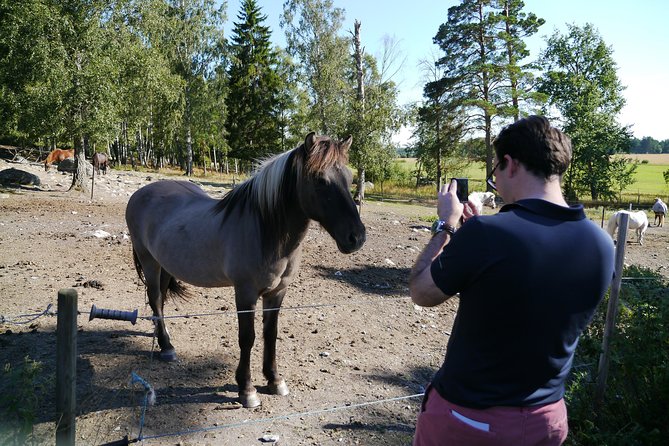 Small Group Swedish History Day Trip to the Countryside, UNESCO WORLD HERITAGE Candiade Area Markim- - Flexible Cancellation Policy