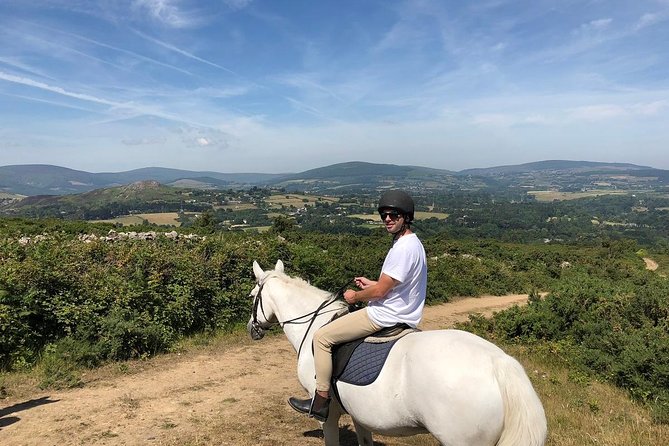 Small-Group Wicklow and Glendalough Day Tour From Dublin With Horse-Back Riding - Beautiful Scenery and Well-Cared-For Horses