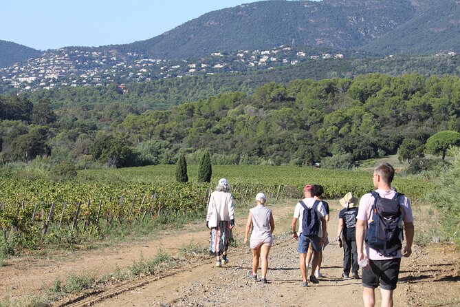 Small Group Wine Tour in the Vineyards of the Gulf of St-Tropez - Additional Information