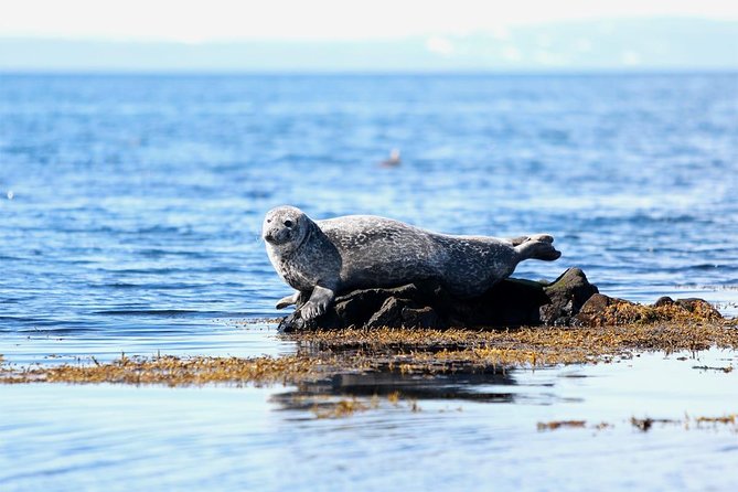 Snæfellsnes: Hidden Gem of the West Small-Group Day Trip From Reykjavik - Traveler Reviews and Photos