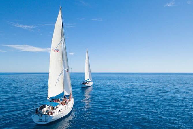 Snorkel in Luxury Sailing Boat Food and Premium Drink! - Common Questions