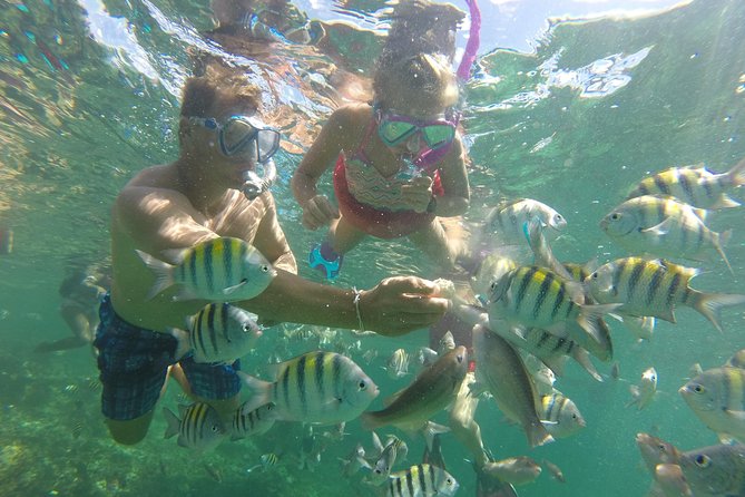 Snorkel Lovers Seafood Slide Catamaran-Family Friendly - Snorkeling and Wildlife Experience