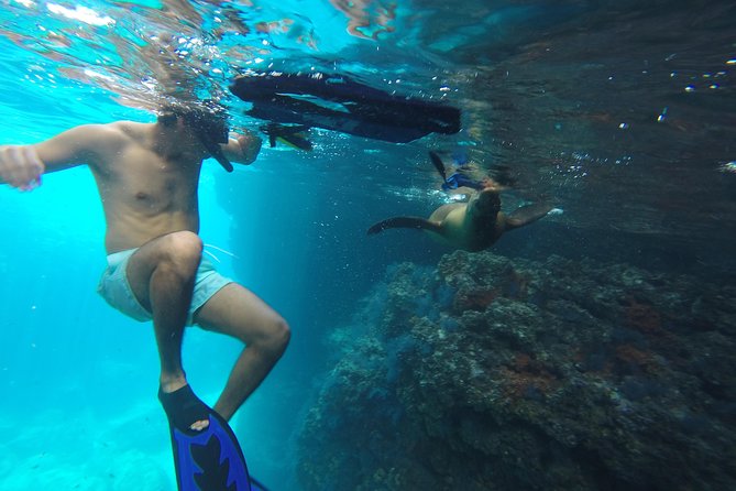 Snorkel & Sea Lion Adventure in Espiritu Santo Island - Traveler Photos and Reviews