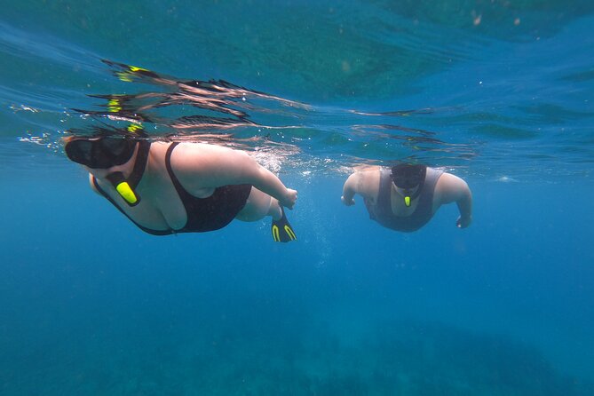 Snorkeling Adventure in Aguadilla - Reviews and Pricing