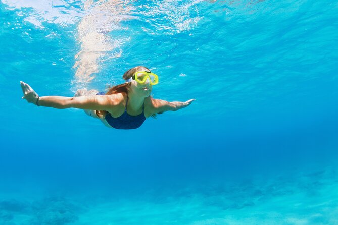 Snorkeling and Dolphin Watching Experience in Destin - Weather and Cancellation Policy