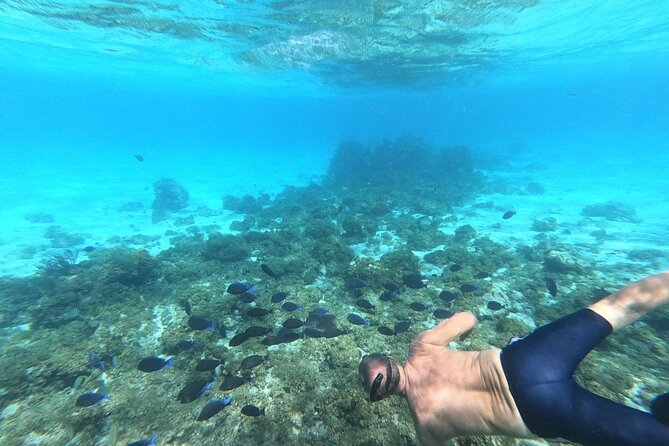 Snorkeling at Stingray City and Rum Point With Private Boat - Pricing and Booking