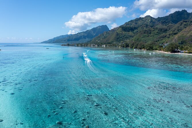 Snorkeling Excursion and Encounter With Marine Fauna in Moorea - Lunch and Food