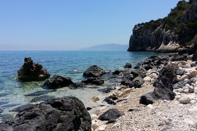 Snorkeling Experience to Discover the Dolphin Inside You! - Private Transportation