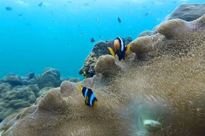 Snorkeling Tour to Koh Rok by Speedboat From Koh Lanta - Cancellation Policy