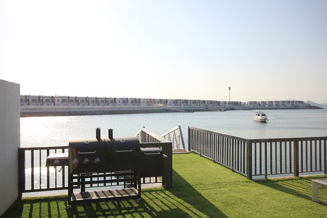 Snorkeling With Turtles in Fujairah With BBQ Lunch - Questions and Help