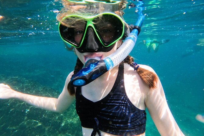 Snorkeling With Turtles in Fujairah With Transfer & BBQ Lunch - Convenient Departure From Dubai Hotel