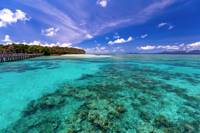 Snorkelling or Glass Bottom Boat at Green Island From Cairns - Traveler Photos