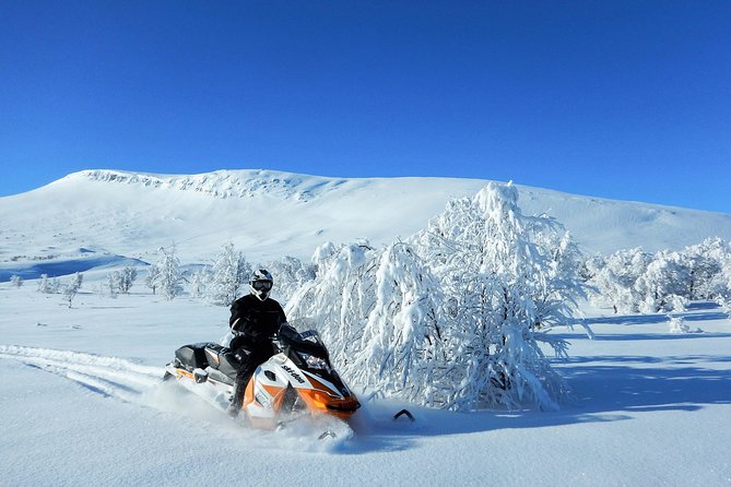 Snowmobile Adventure in Swedish Lapland (Day Tour) - What to Expect