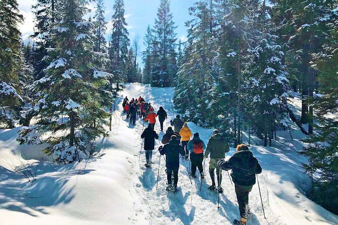 Snowshoe Tour in Winter Wonderland - Oslo - Additional Information