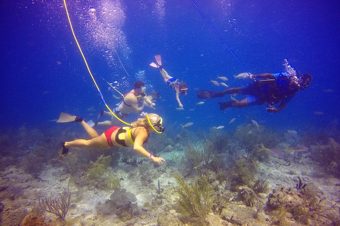 Snuba Adventure at Coral World Ocean Park - Whats Included in the Snuba Adventure Package