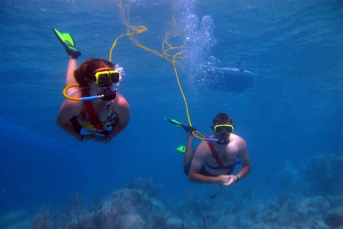 Snuba Adventure at Coral World Ocean Park - Snuba Experience Introduction
