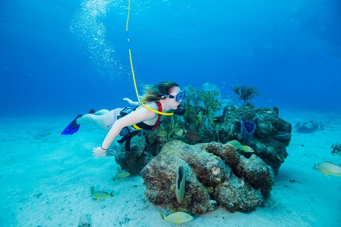 Snuba Adventure in Cabo San Lucas - Additional Information