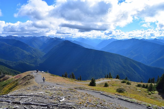 Sol Duc, Lake Crescent, and Hurricane Ridge Guided Tour in Olympic National Park - Reviews