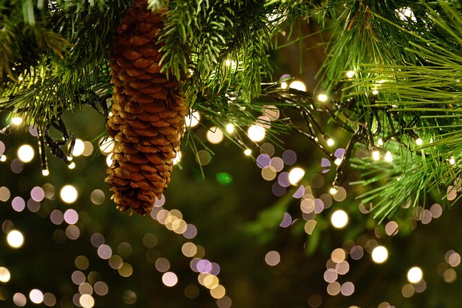 Special Christmas Tour in Canterbury - Festive Events and Entertainment in Canterbury