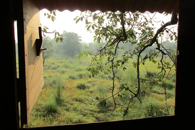 Spend a Night in a Tree House in Bardiya - Price and Terms & Conditions
