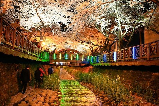 Spring 6 Days Cherry Blossom Jeju&Busan&Jinhae&Gyeongju on 31 Mar to 10 Apr - Customer Reviews and Ratings