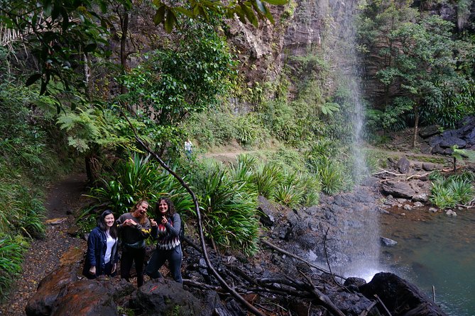 Springbrook National Park Shared Waterfalls Tour  - Surfers Paradise - Additional Information