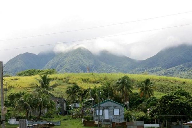 St Kitts Island Tour (Reconfirm Ship or Hotel) - Traveler Reviews