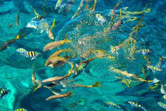 St Kitts Mini Speedboat Snorkel Adventure - Tour Experience and Boat Features