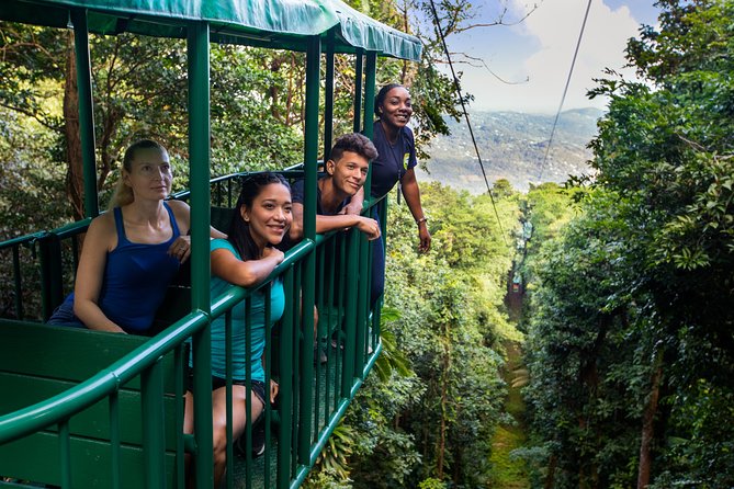 St Lucia Ultimate 3: Aerial Tram, Zipline and Hiking at Rainforest Adventures - Short Hike in the Rainforest