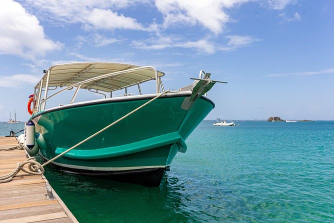 St Maarten Motorboat Cruise: Long Bay, Creole Rock and Tintamarre Island - Snorkeling at Creole Rock