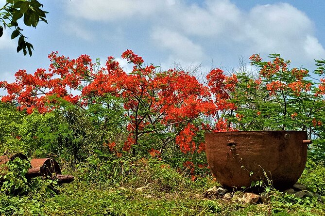 St. Martin - St. Maarten: Small Group, History Tour - Reviews by Viator Travelers
