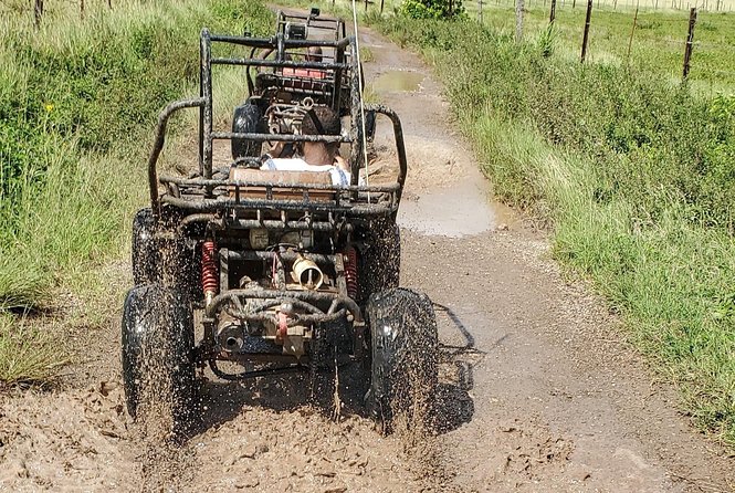 St. Marys Mud Buggy Experience - Common Questions