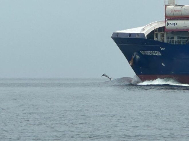 St Petersburg, FL: 3 Hour Islands Hopping Eco Tour - Directions and Tour Information