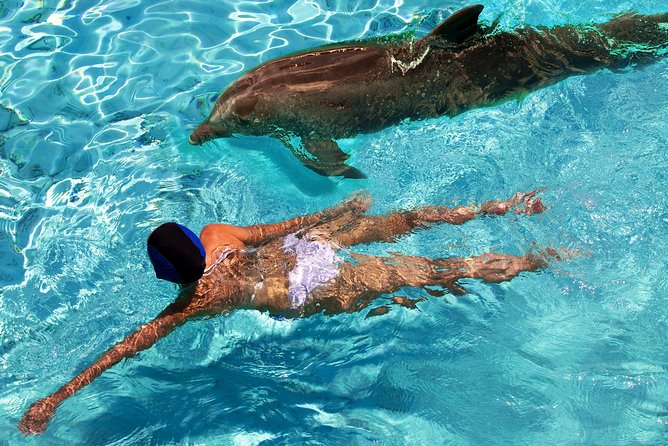 St Thomas to St John Snorkel, Swim & Beach Experience Aboard Luxury MV Sea Wolf - Meeting and Pickup Information