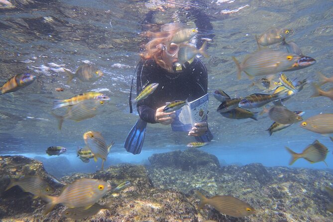 Stand up Paddle and Snorkeling Lesson in Playa Blanca - Additional Information About the Experience